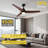 41” 3 - Blade Standard Ceiling Fan With Remote Control And Light