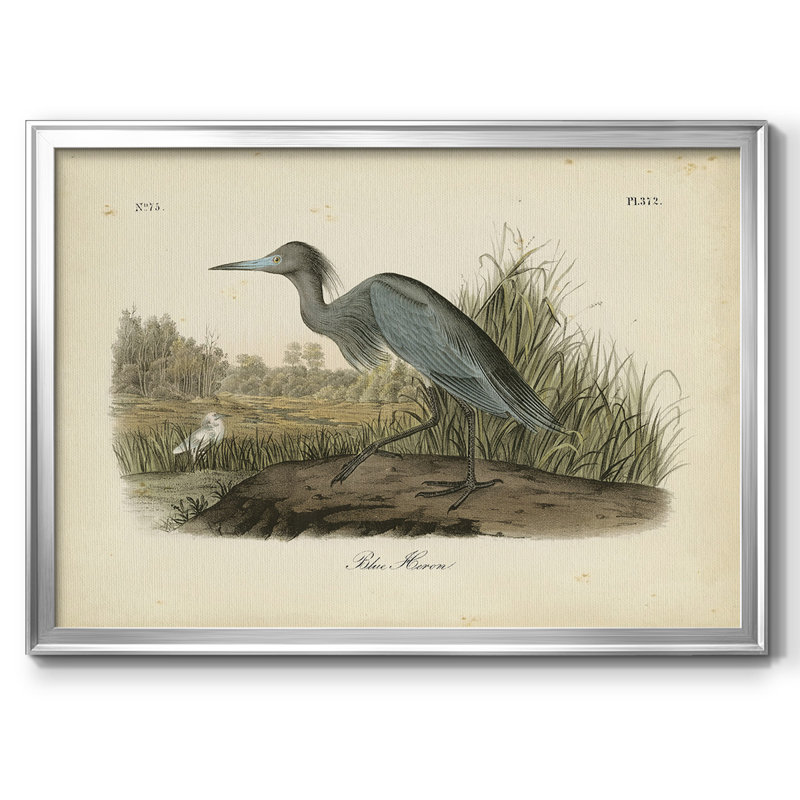 Audubons Blue Heron, reproduction d'art sur toile, Argent, H 18 po x l 26 po x P 1,5 po