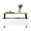 Table basse à plateau relevable avec rangement-1611269188