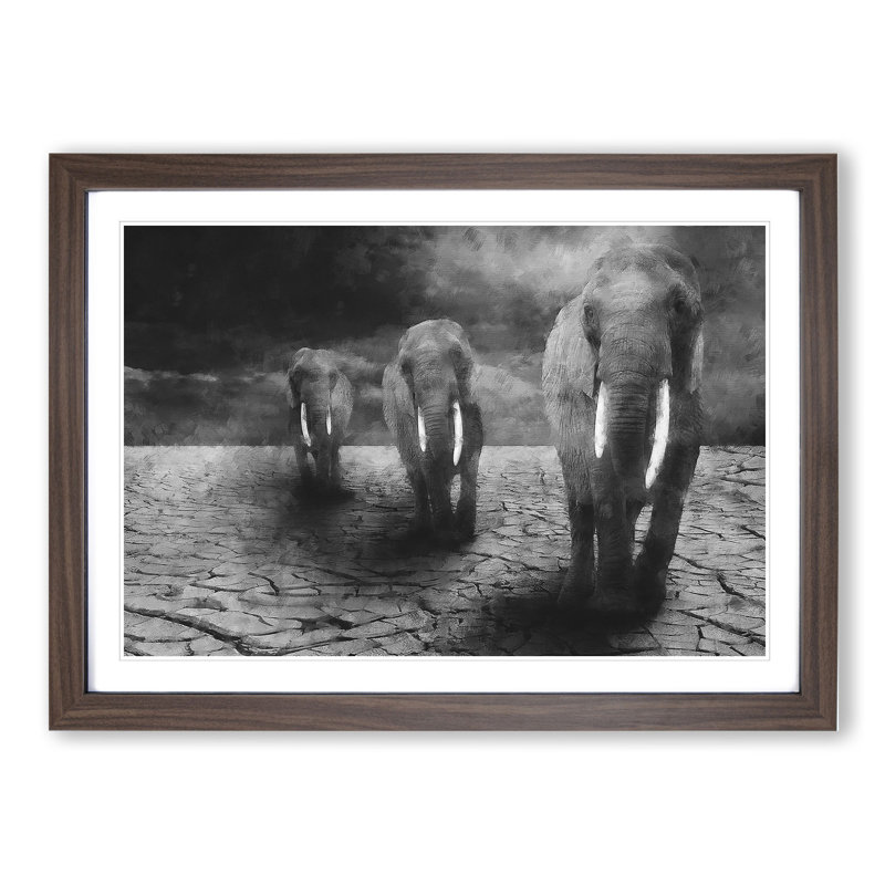 Three Elephants - Picture Frame Graphic Art, Walnut, 27cm H x 36cm W x 2cm D