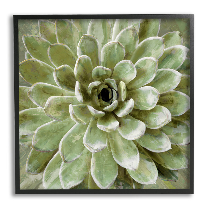 «Succulent Plant», vue abstraite encadrée sur bois par Lindsay Benson, peinture, Giclée encadrée noir minuit