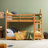 Contemporary Solid Wood Twin over Twin Bunk Bed-1520451766