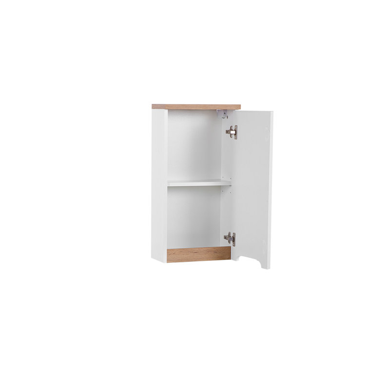 Carlos Wall Bathroom Cabinet