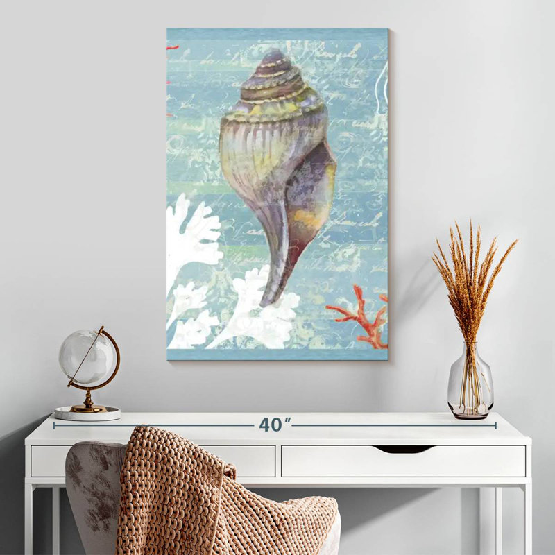 Aletra Shell Collage, 30" H x 20" W