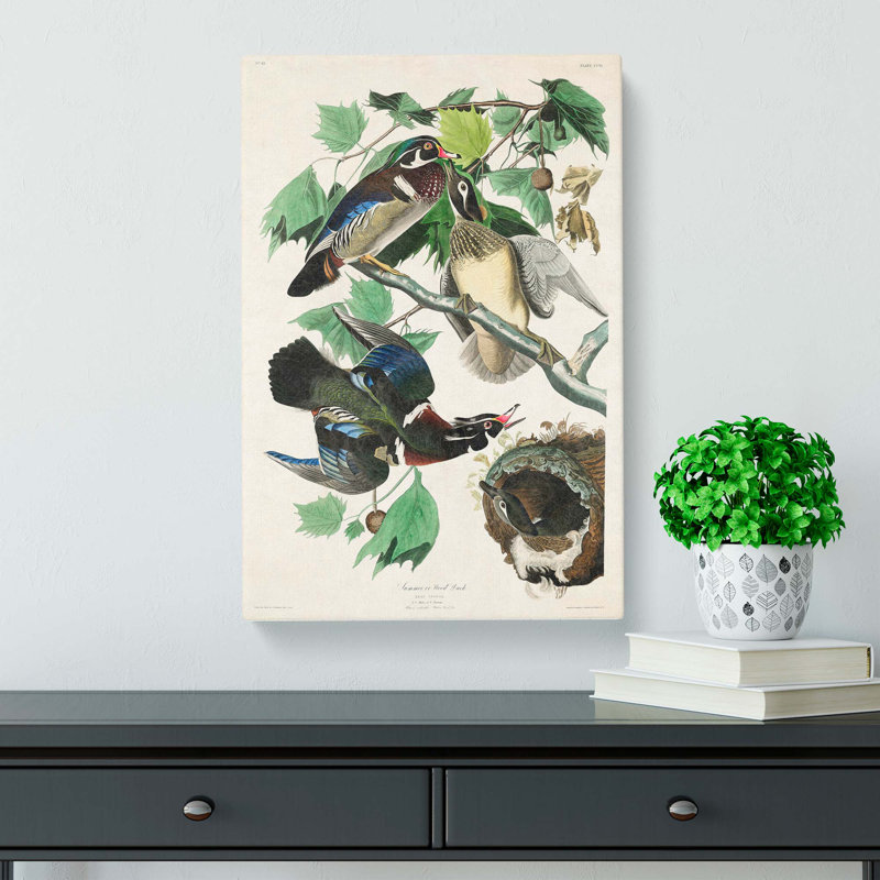 Wood Ducks by John Audubon - Wrapped Canvas, 50cm H x 35cm W x 3cm D