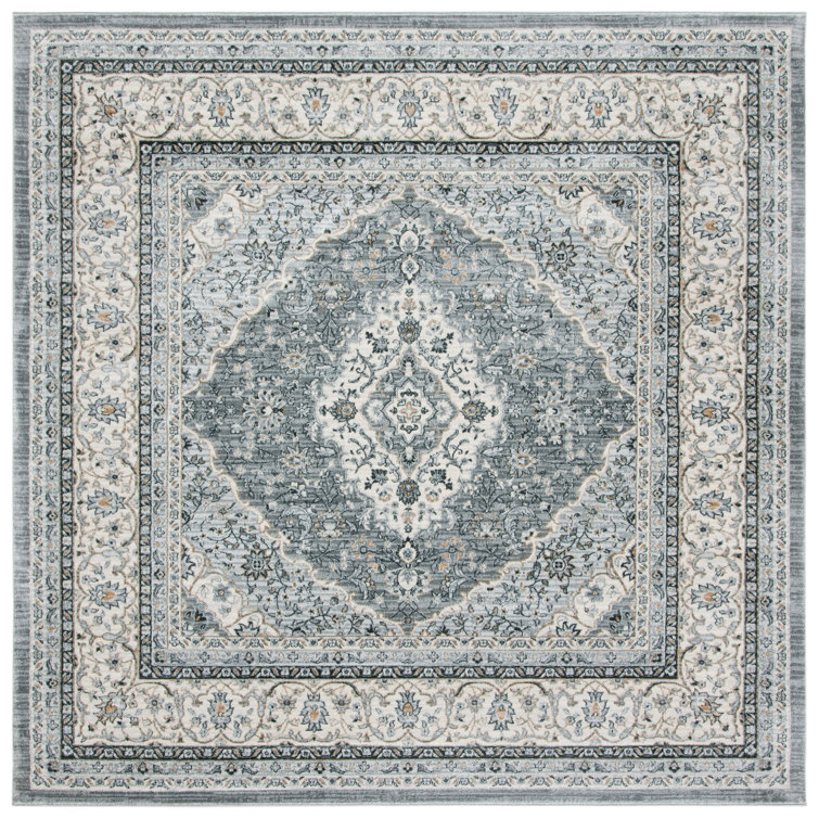 Delmer Performance Oriental Rug