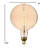 Large Amber Edison Globe Bulb