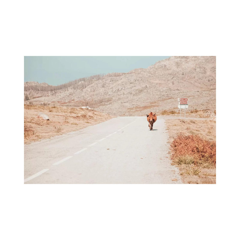 On The Road by Ingrid Beddoes - Wrapped Canvas Print, 20.32 cm H x 30.48 cm W