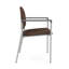 Chaise d'invité Chat Chat-98671304-98882107