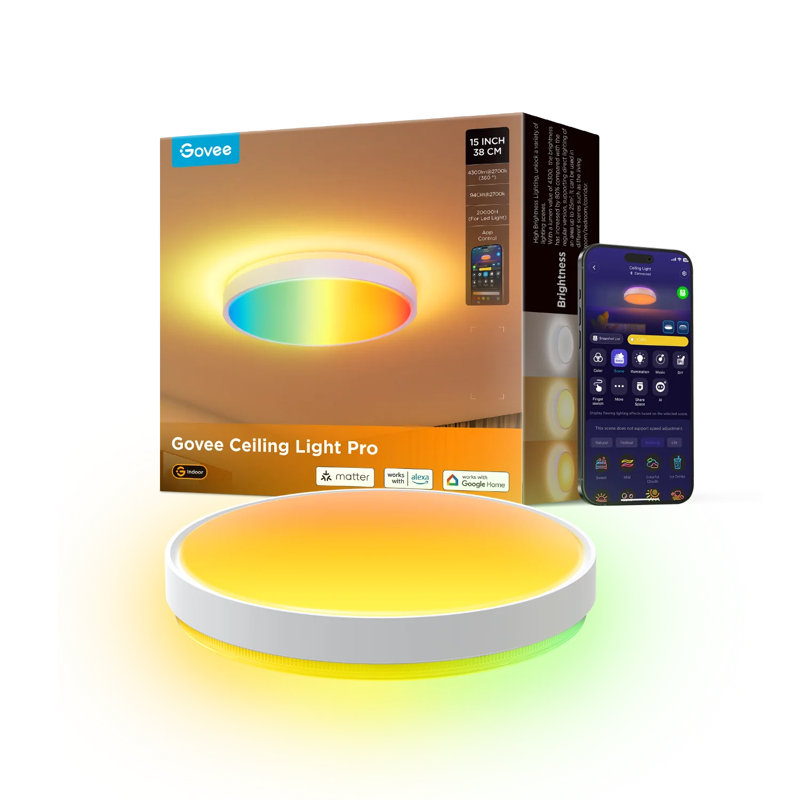  15-Inch RGBICWW Smart Ceiling Light Pro