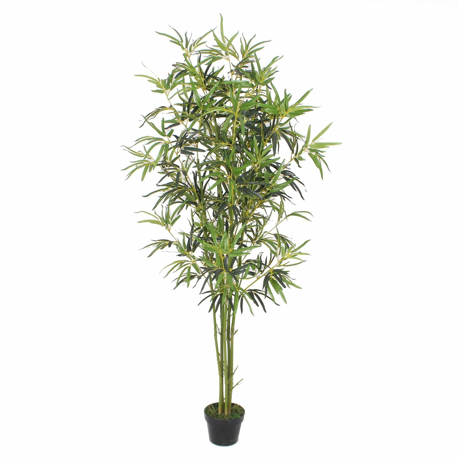 Primrue Duarte 72'' Faux Bamboo Tree in Pot | Wayfair