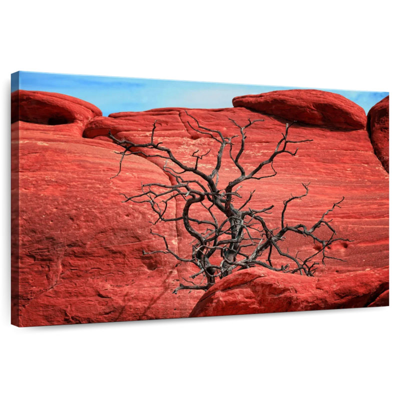 Arbre mort Harnek par Red Rocks, H 32 po x l 48 po
