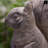 Dawley Animals Figurines & Sculptures-92466224