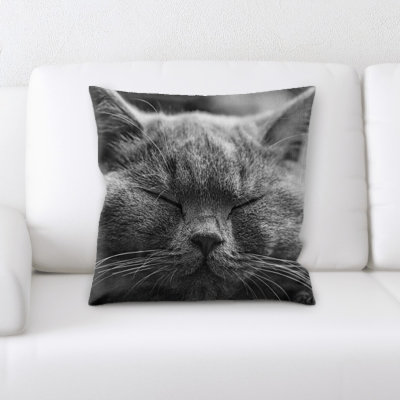 Coussin pour chat