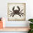Brampt Crab II