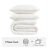 Premium 3 Piece Bedding Sets, Full Queen Cotton Muslin Quilt, White
