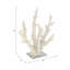 Statue décorative corail sur base de verre pour décoration intérieure - Figurine parfaite pour les décorations de salon - 14 po, blanc