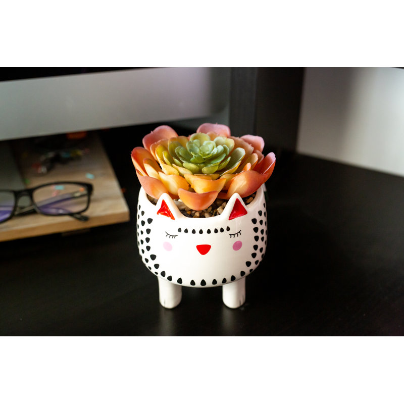 Agave en céramique pour chat en pot de fleurs, Blanc