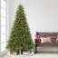 Sapin de Noël givré pré-éclairé-50784598