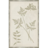 Ghost Herbaria In Celedon Giclee Print by Soicher Marin Archives