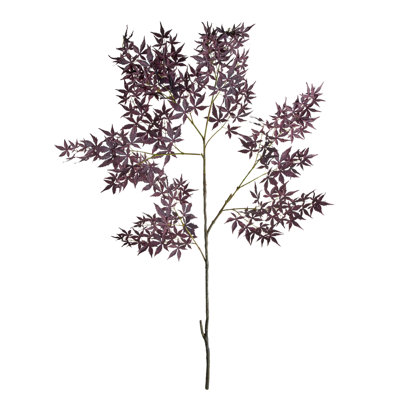 MAPLE SPRAY 71"
