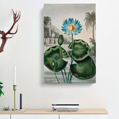 Blue Egyptian Water Lily by R.J. Thornton - Wrapped Canvas Painting