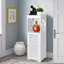 Aahana Plastic / Acrylic Bathroom Cabinet-407963440