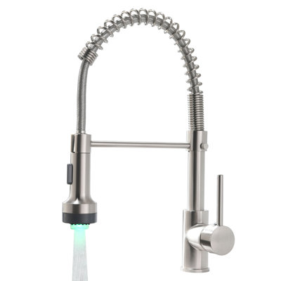 FLG Pull Down Kitchen Faucet