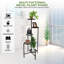 Plant Stand - Set of 5