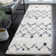 Alieshia Berber Shag Performance Geometric Rug