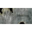 Grey Ghost I - Wrapped Canvas Print-273386734