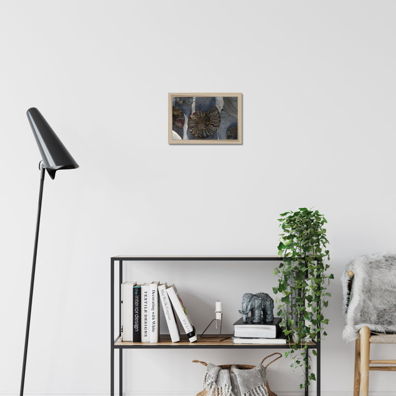 Gifts Of The Shore XVI by Elena Ray - Print, 24cm H x 34cm W, Natural Wood Framed Paper Print