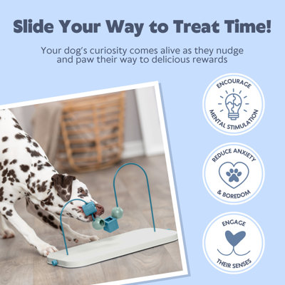 Dog Activity Skills Loop