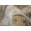 Tapis en laine ivoire 5 pi 10 po x 8 pi 1 po one-of-kind main-noué la 2010 Ceres