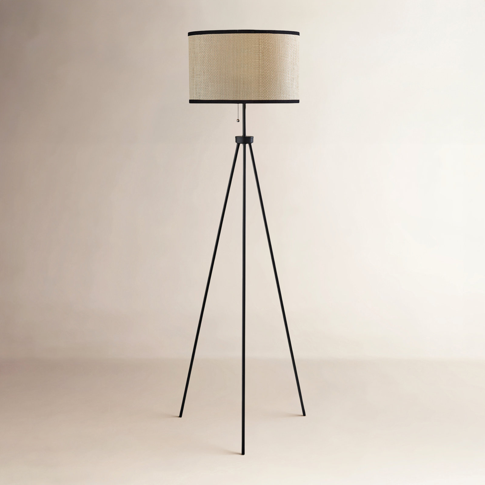 Isadora 58.5'' Dimmable Floor Lamp