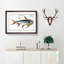 Saltwater Catfish by M.E. Bloch - Picture Frame Painting Print-55613374-55613375