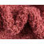Carlosadrian Oriental Indoor Rug-1183897715