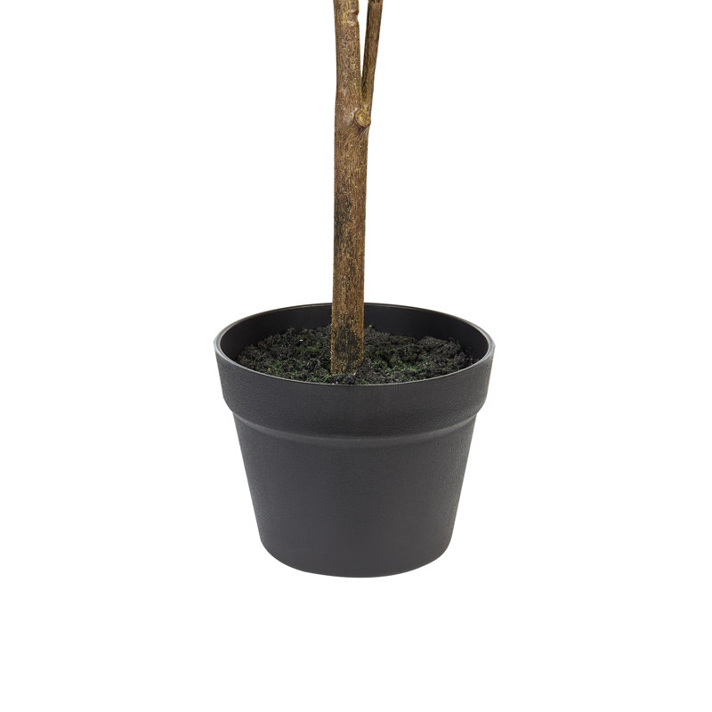 Faux Lemon Tree in Planter, 105cm H x 45cm W x 45cm D