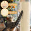 29.5" High Sisal Cat Scratching Post-86450603