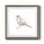 Robin des bois II-62718997-62718998