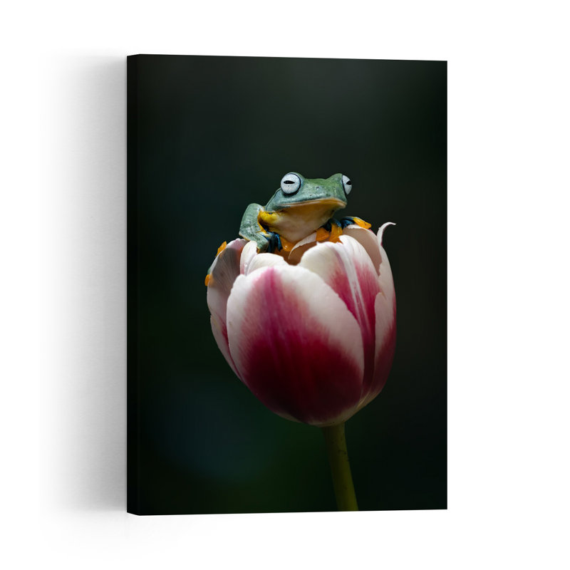Curious Frog On Tulip Frog Tulip Flower Wall Art Print by Fauzan Maududdin - Print, 45.72cm H x 30.48cm W