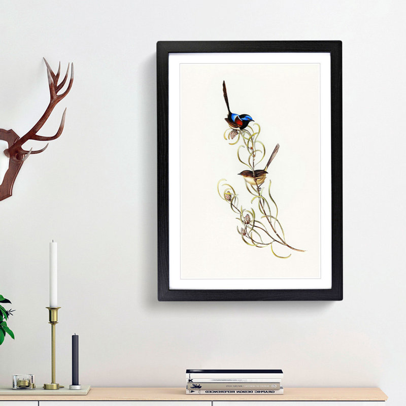 Graceful Wrens by Elizabeth Gould - Picture Frame Art Print, 65cm H x 48cm W x 2cm D, Black Framed