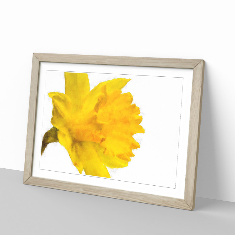 Sole Yellow Daffodil - Picture Frame Painting Print, 45cm H x 63cm W x 2cm D, Oak Framed