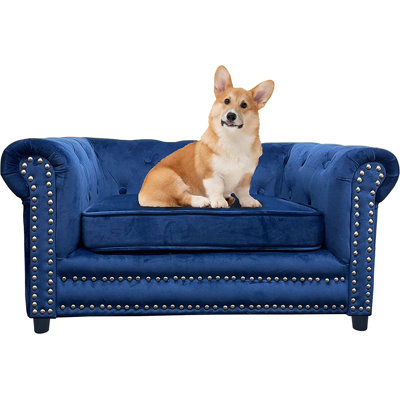 Canapé pour chien