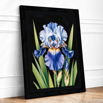 Iris in Blue and Gold Botanical - Framed Print