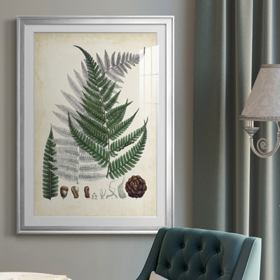 " Collected Ferns II "