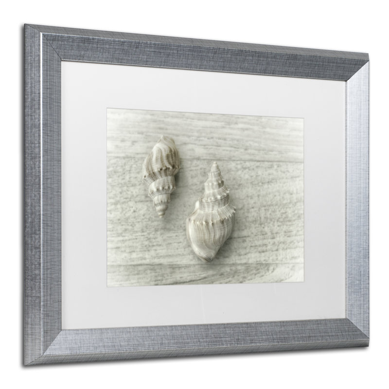 « two cancellara shells », reproduction de photo sur toile encadrée, H 11 po x l 14 po x P 0,5 po, argent