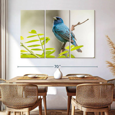 Brampt Indigo Bunting Bird