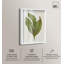 «Aged Botanica I Botanical Decor», reproduction d'ombre par Art Remedy-120051077-120051083