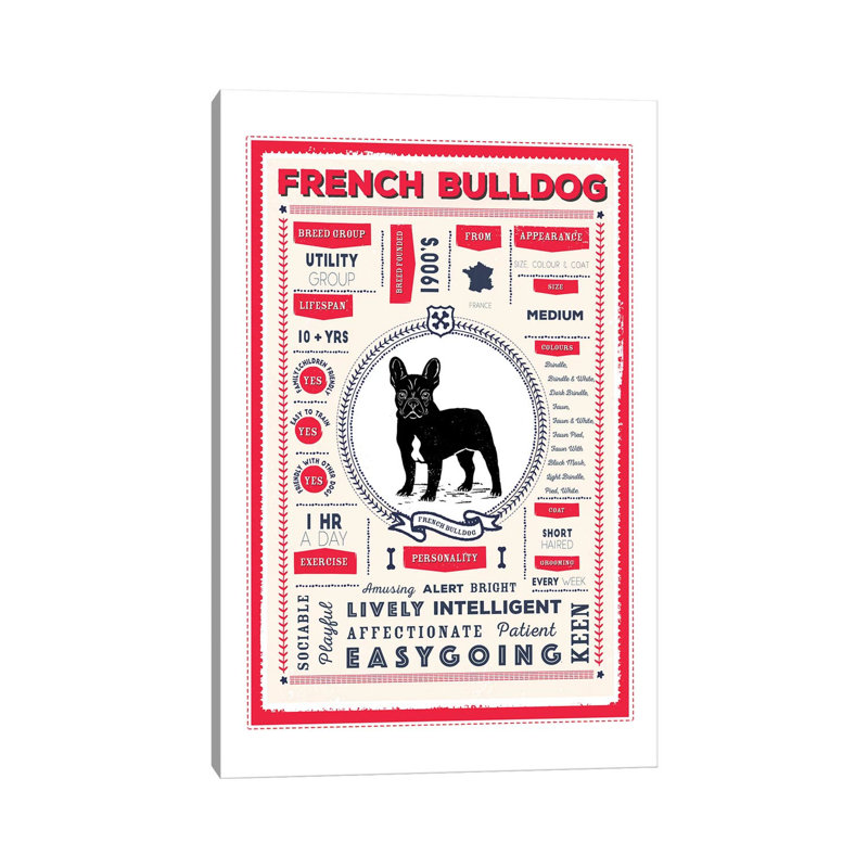 «French Bulldog Infographie Red» par PaperPaintPixels, impression sur toile tendue, H 18 po x l 12 po x 1,5 po